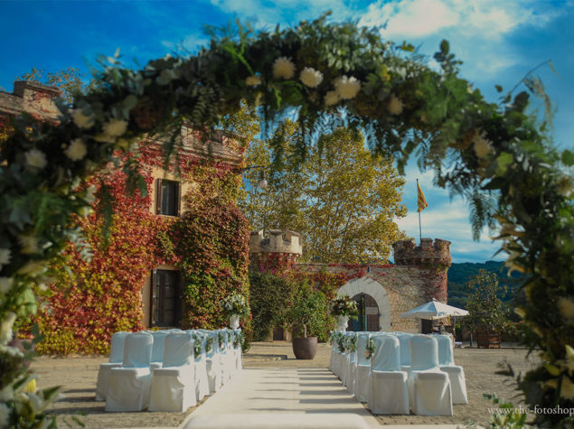 bodas