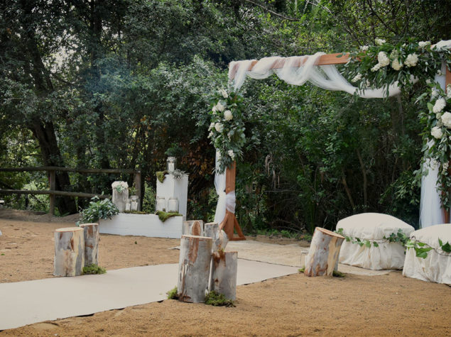 bodas