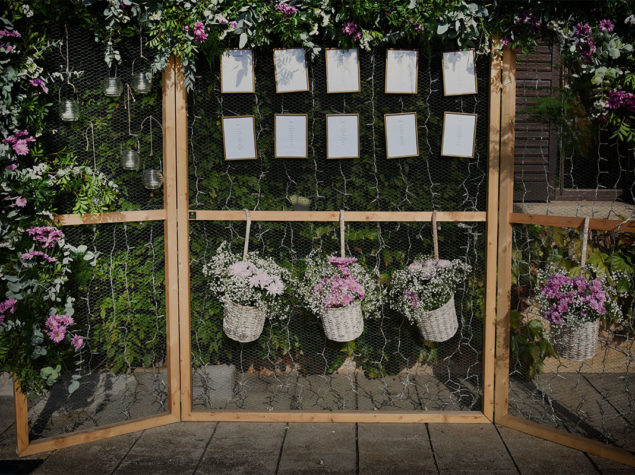 bodas